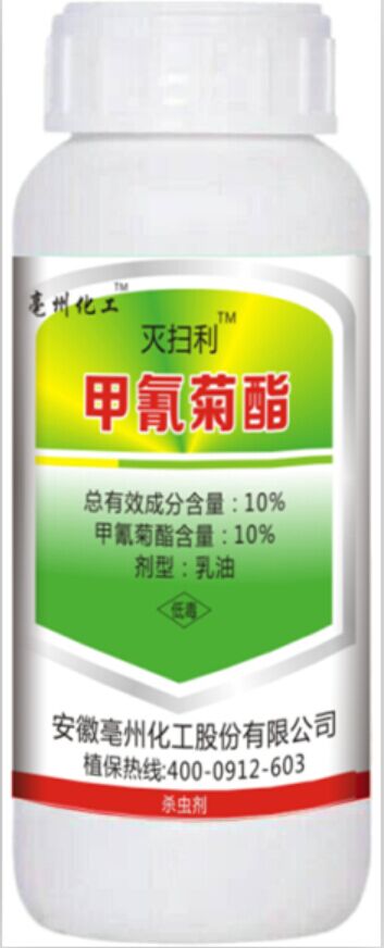 �����-�������