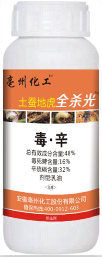 ���Q�ػ�ȫ����-����