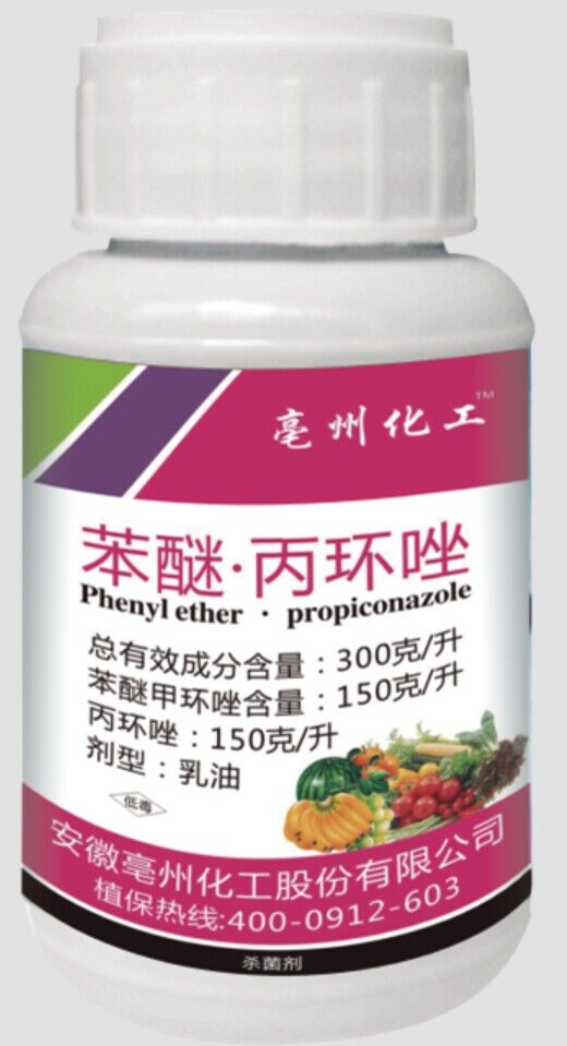 ���Ѽ׭h(hu��n)��