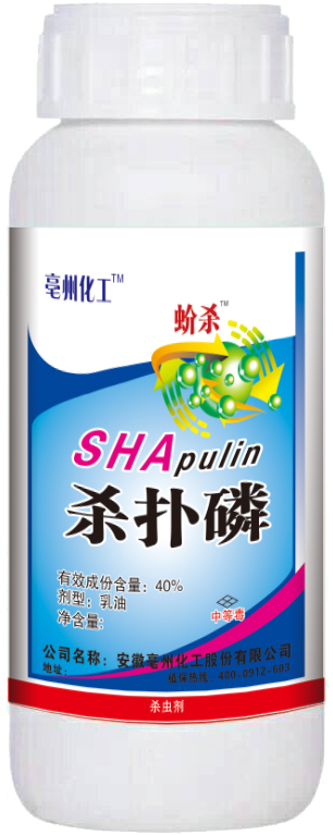 򻚢-������40%