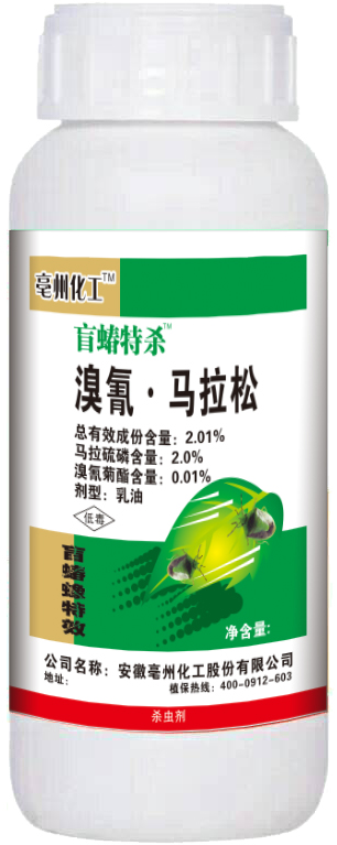 ä���ؚ�-�����R����