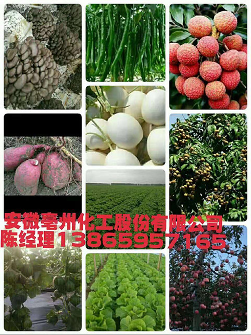 福農(nóng)民果蔬猛長——新一代果蔬增產(chǎn)水溶肥